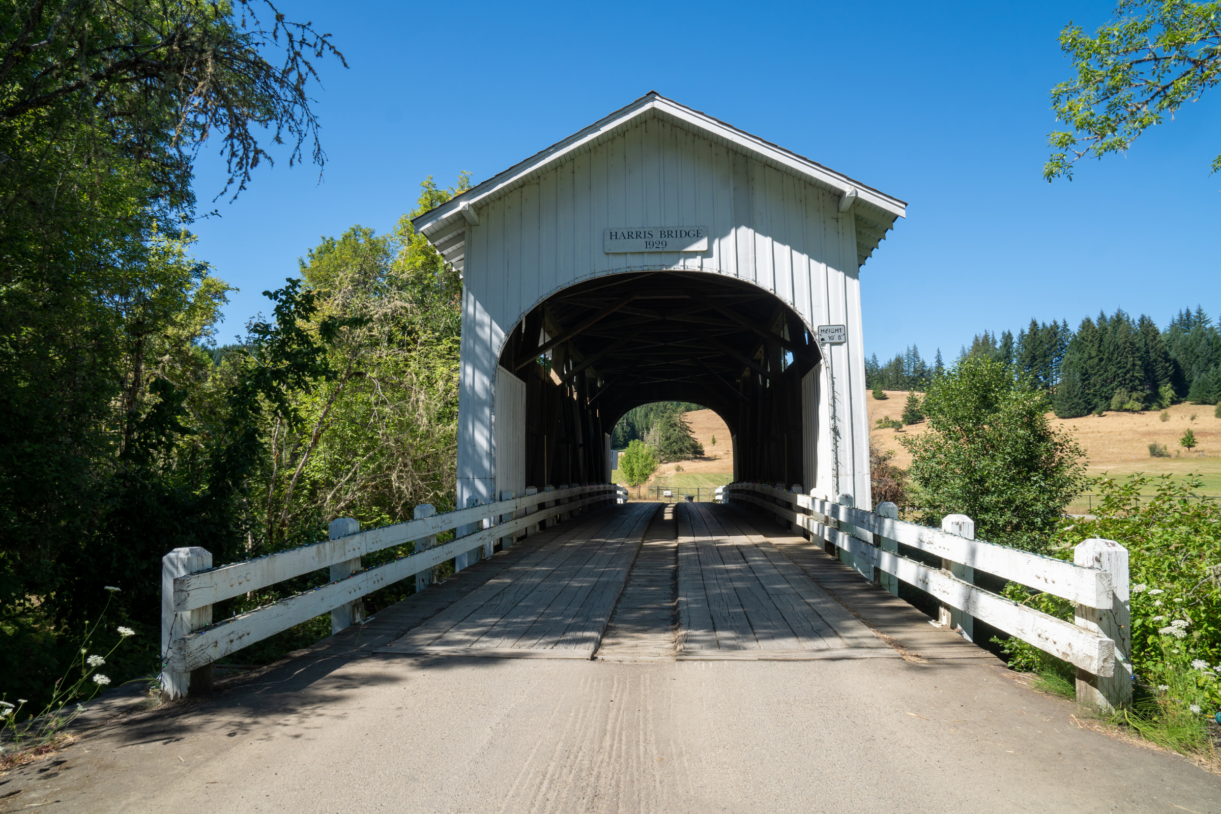 philomath, oregon.webp